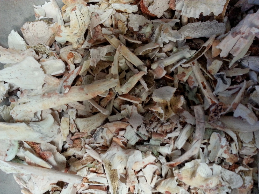 Picking Bones from Ash by Marie Mutsuki Mockett