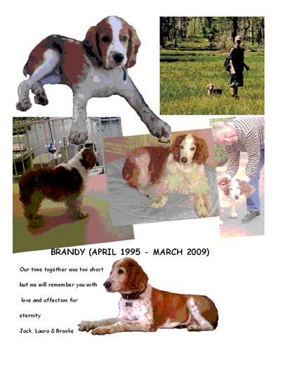 Brandy Euthanized