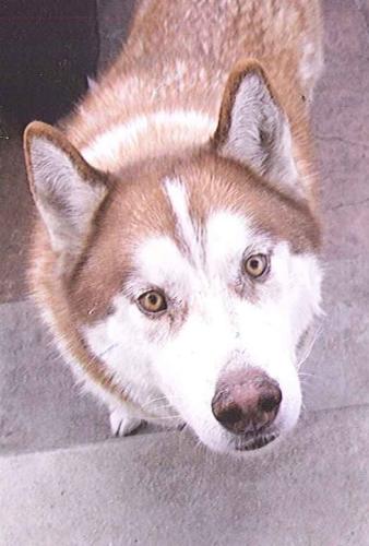 20170315141817794_0001 (1)