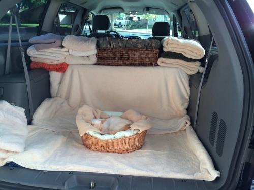How we transport your pet after euthanasia