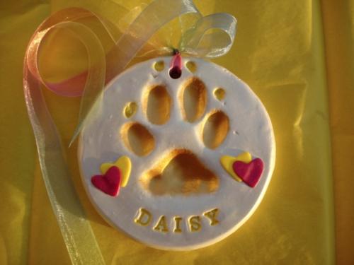 Deluxe paw print example Daisy