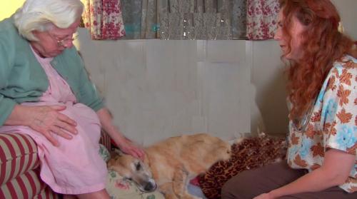 Old lady and dog hospice