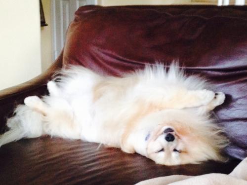 Relaxing on the Couch