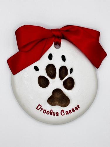 Deluxe Droolius