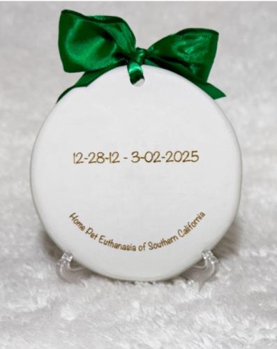 Engraved paw print back