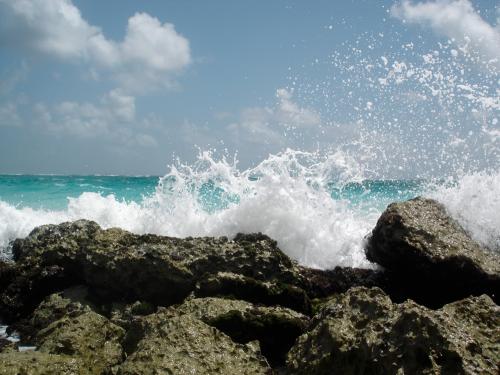 ocean picture