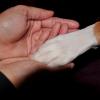 hand and paw
